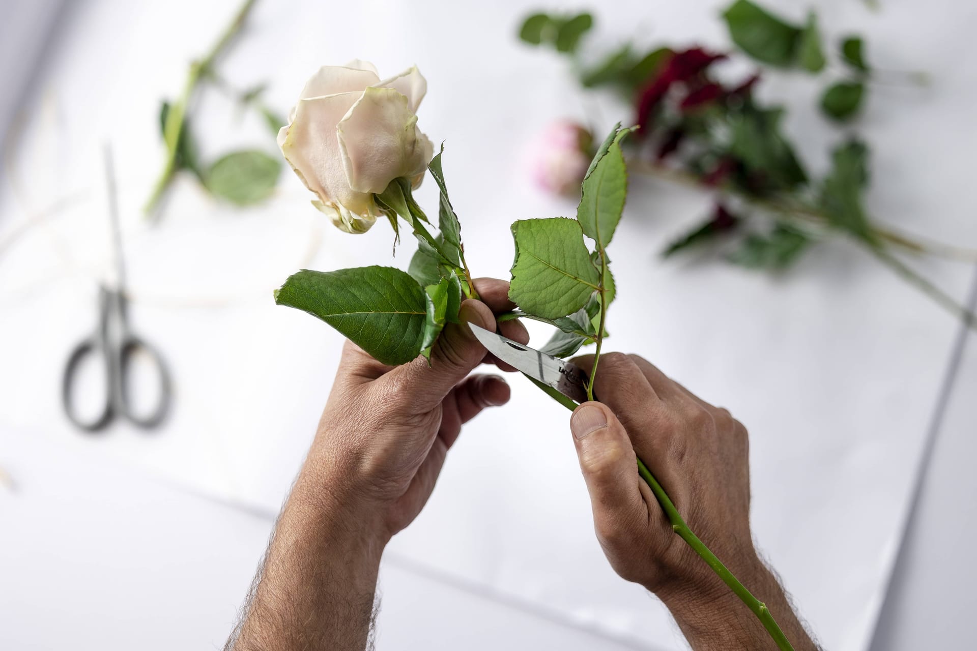 Les différentes carrières dans les arts décoratifs