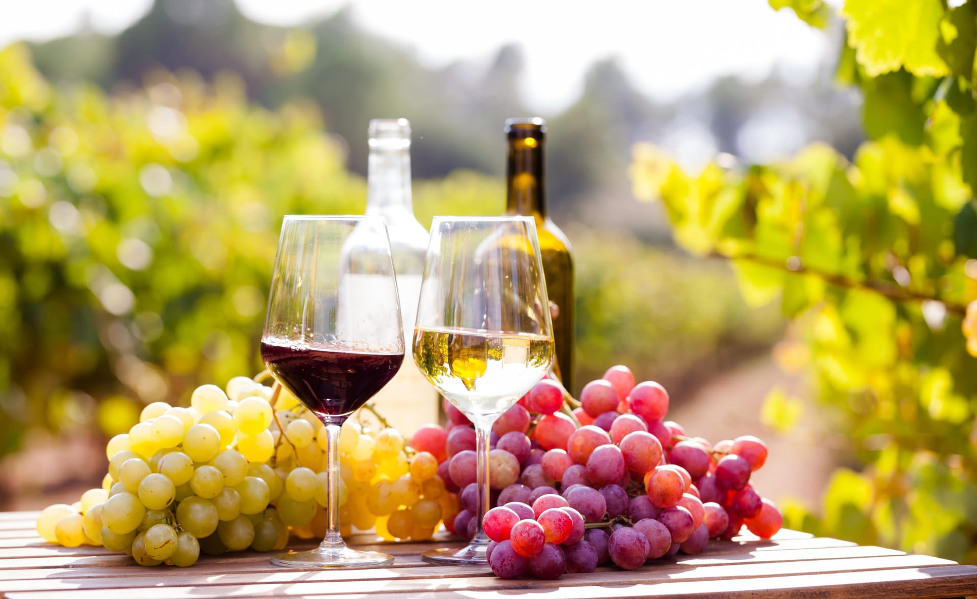 Accords avec les vins